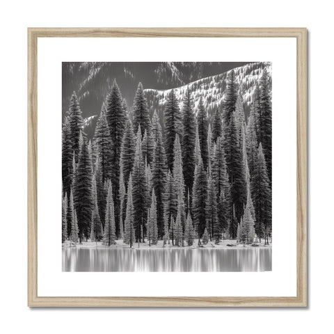 A picture of a pine tree sitting on top of a black and white photograph frame on