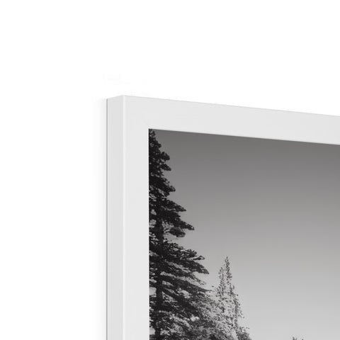 A picture frame on a white and black wall of pine trees.