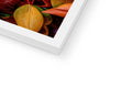 A book frame holding a photograph of fall foliage with a white background to the right.
