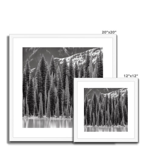 Art prints of trees and snow covered mountains on a frame.