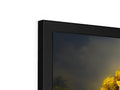 The photo is a shot of a picture frame sitting under a wall mounted monitor.