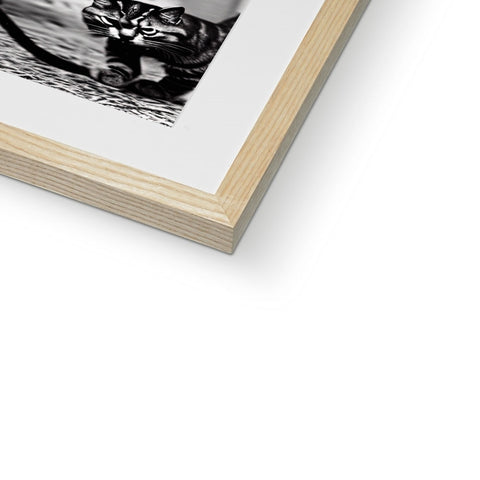 A wooden frame with a book in it and several pictures of black and white animals on