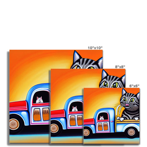Several colorful stickers with cats sitting on top of black and white refrigerator magnets.