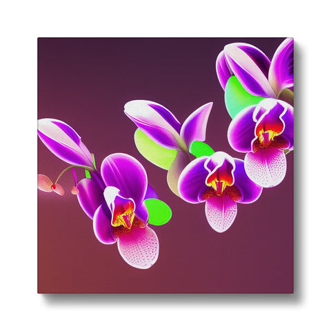 A purple orchid with purple flowers on a white background that is attached to a frame