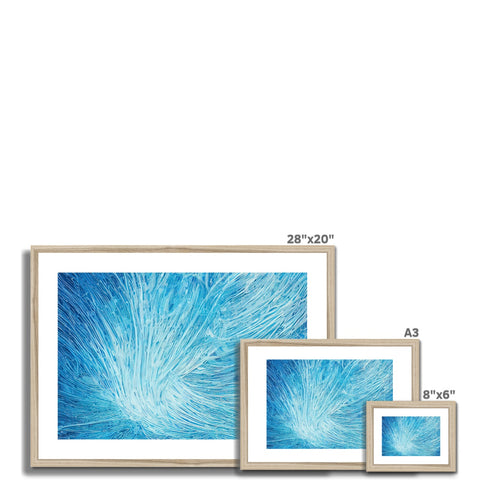 A picture frame sits on top of a blue wall with four photographs around it.
