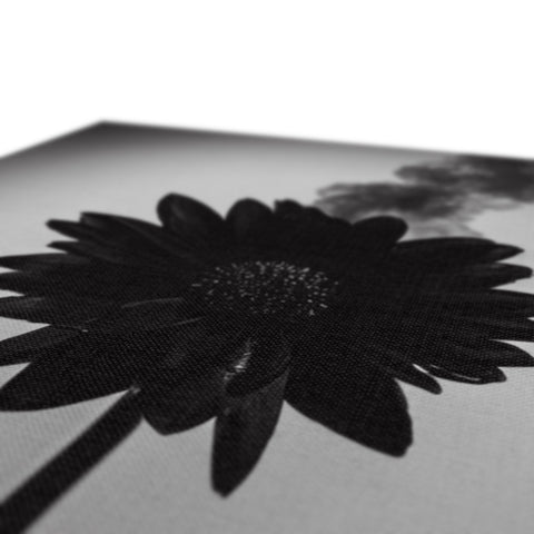 A flower that is in a black and white print on a canvas.