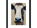 A cow with brown eyes and long black hair on it.