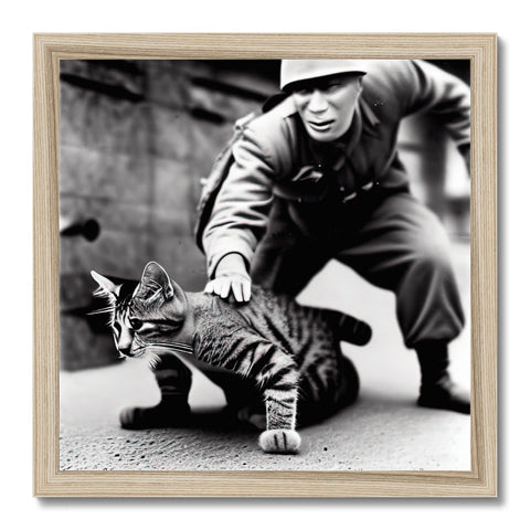 Cat scratching at a photograph of a soldier sitting on a bed while sitting on the floor