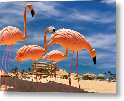 Pink flamingoes are standing out in the sunshine on a beach near the ocean