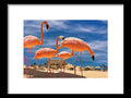Art print of pink flamingos standing on a beach