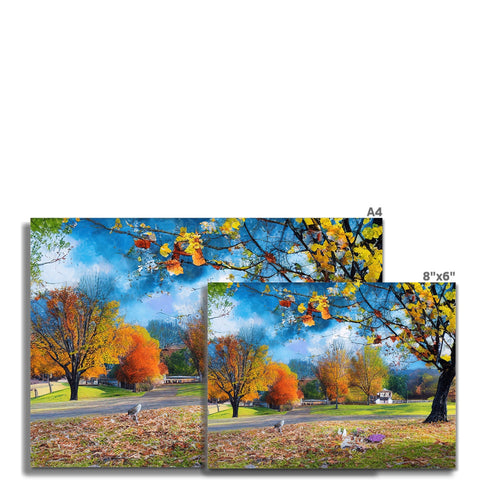 A large white blanket with pictures of colorful trees covered in flowers and leaves.