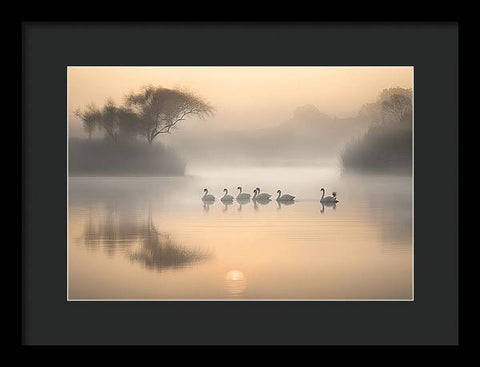 Bird Art 0028 - Framed Print