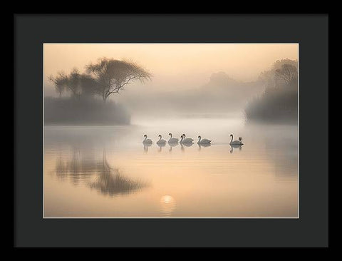 Bird Art 0028 - Framed Print