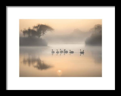 Bird Art 0028 - Framed Print