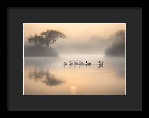 Bird Art 0028 - Framed Print