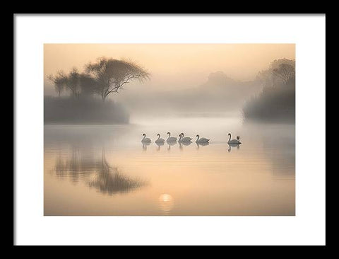 Bird Art 0028 - Framed Print