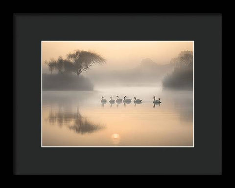 Bird Art 0028 - Framed Print