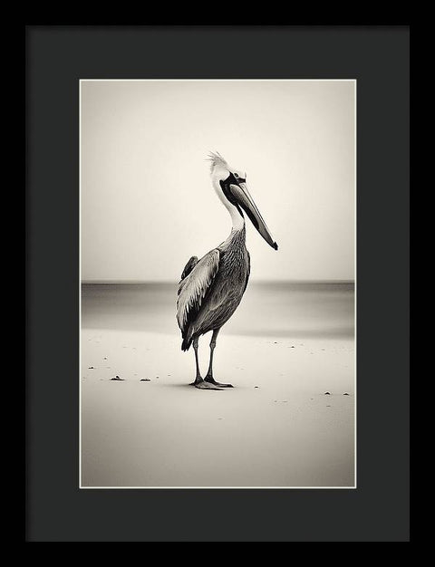 Bird Art 0031 - Framed Print