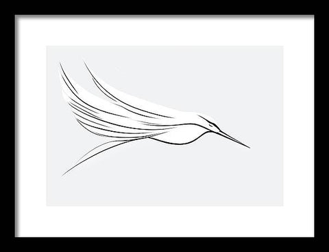 Bird Art 0033 - Framed Print