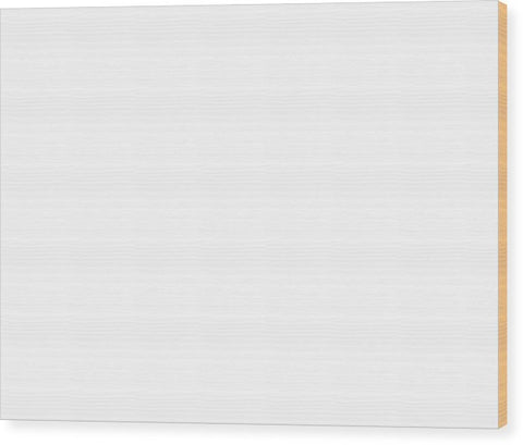 a white rectangular plate with an image of a white sheet of paper on it