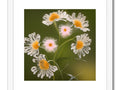 a photo of flowers on a white white art print