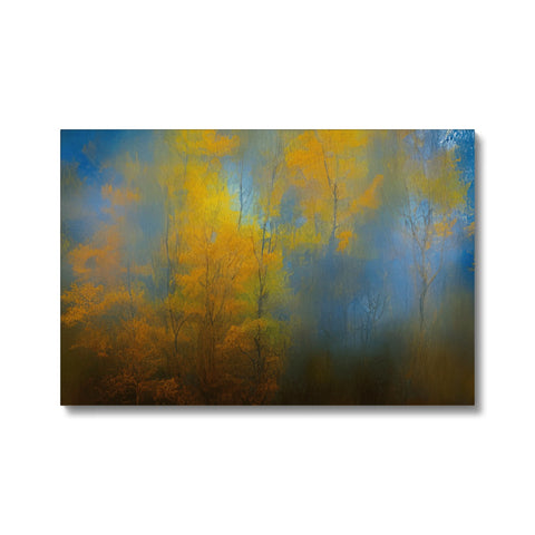 Art print is set in a woods and in a wooded area with many trees