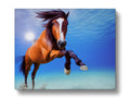 Horses standing in an ocean with a white background.