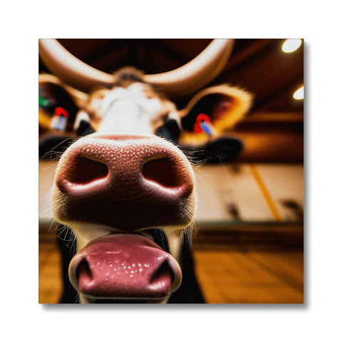 A cow licking his head and his body in a barn.