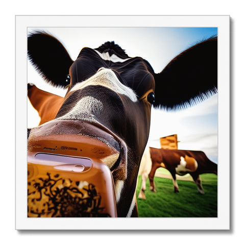 A cow is in some field looking up in the mirror.