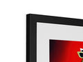 Black framed art with red and white pictures in a large metal frame in a picture store