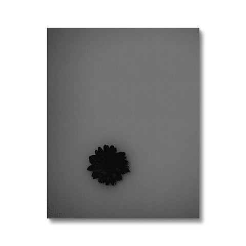 White pinhole picture of a flower pinned to wall with silver colored paper and scissors