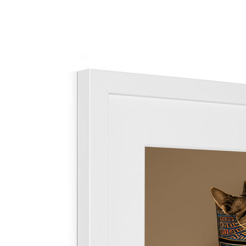 A cat peeks up at a picture of a picture frame with white paper.