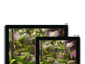 A picture frame filled with photos of tropical plants with large purple orchids.