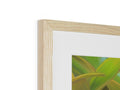 a picture of a wood picture frame sitting on the wall with wooden frames