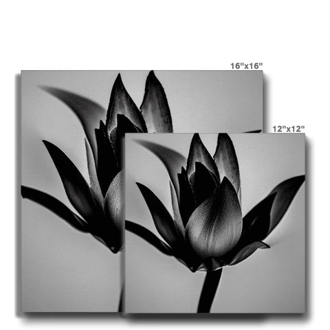 Four pictures on a picture frame of tulip and lilies in blue and white.