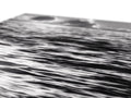 Wavy water is in the background of a black and white photo of a lake.