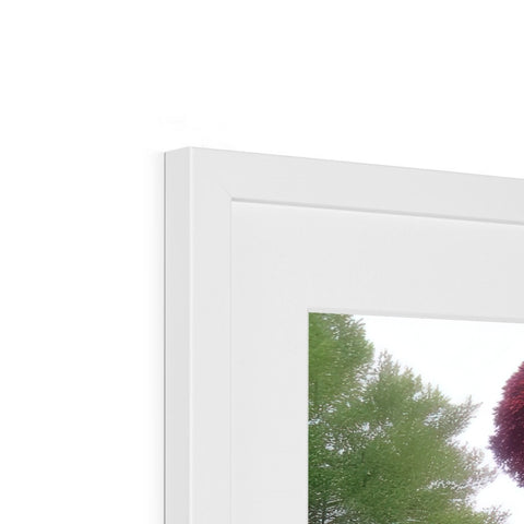 A mirror frame that has wooden frames with two trees in the background.