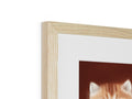 There is a cat looking up in a picture in a wooden photo frame on a wall