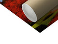a roll of red and green tissue paper with a close up of a toilet paper roll