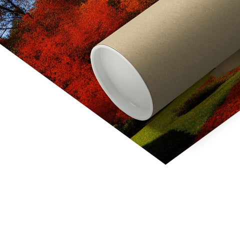 a roll of red and green tissue paper with a close up of a toilet paper roll
