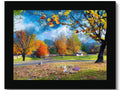 a colorful picture depicting colors on a picture frame that is very colorful with autumn trees