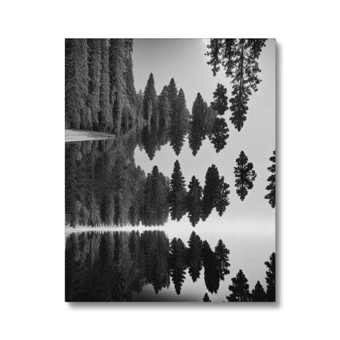 An art print of a park with trees sitting over a redwood forest area.