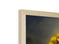 A picture frame has a large picture of a gold piece sitting inside a wooden frame.