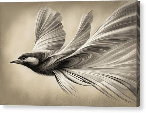 Great Grey Shrike Charcoal Drawing 9x12