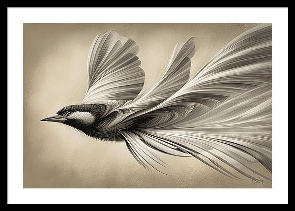 Birds - pencil drawings 2 :: Behance
