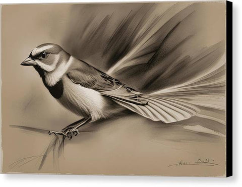 Charcoal Sketch Bird Art - Canvas Print