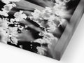 An abstract photograph of a white wooden framed sketch of clouds and leaves with a cloud on
