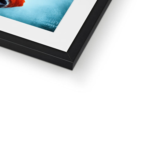 a softcover photo of a framed picture in front of a frame in a book.