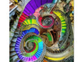 A picture of a spiral staircase in a colorful mural.