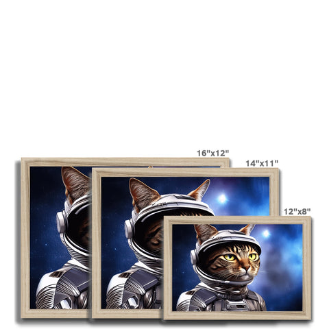 Two picture frames with cats in them sitting next to metal foil.